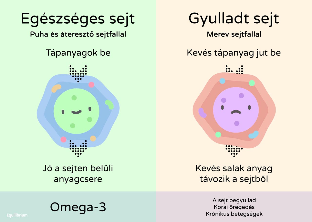 egeszseges-gyulladt-sejt-sejtfal-omega3